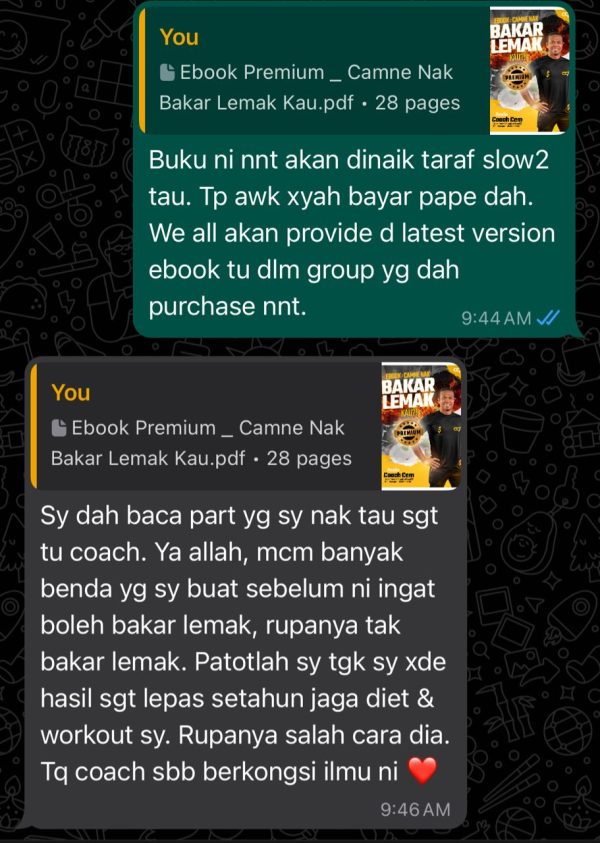 e-Book: Camna Nak Bakar Lemak Kau?! - Image 5